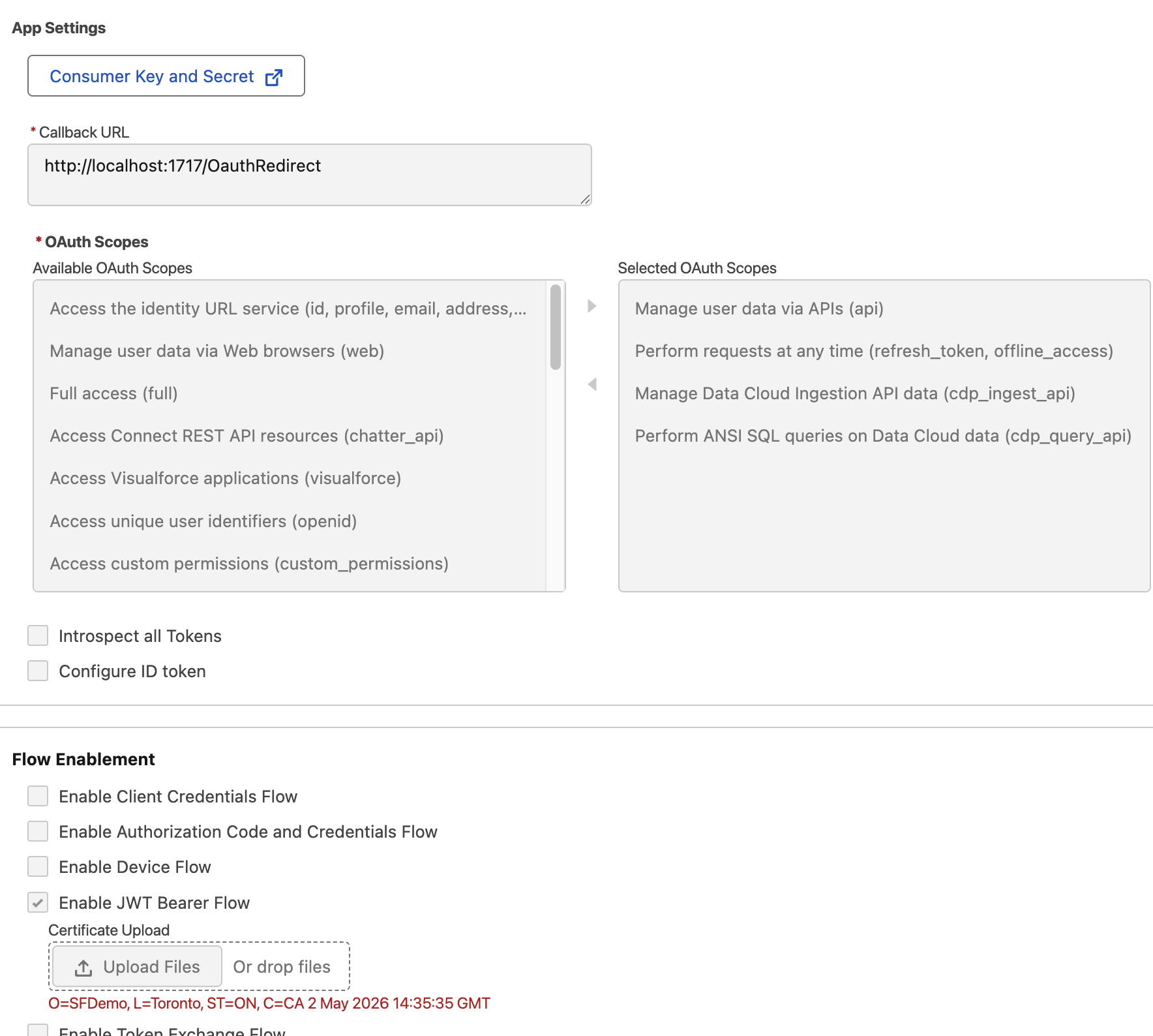 Guide to Salesforce Data Cloud API Connections – InfallibleTechie